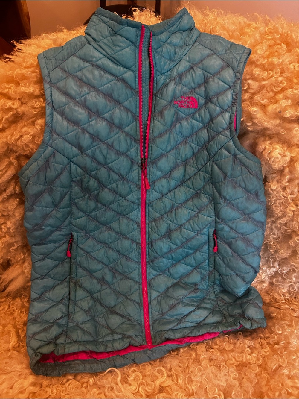 The North Face Teal Quilted Jacket with Hot Pink Logo